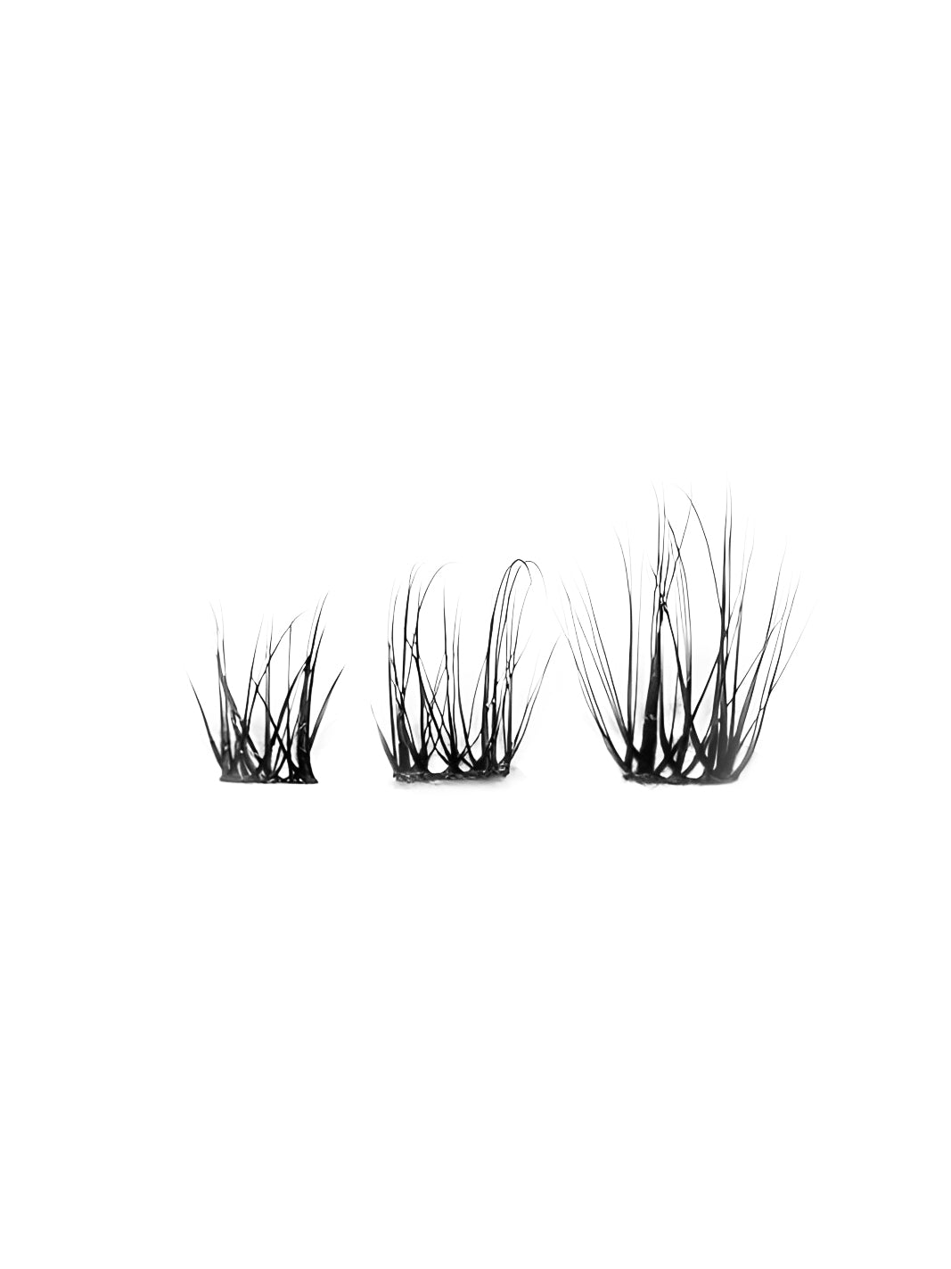 Tiffany Lashes