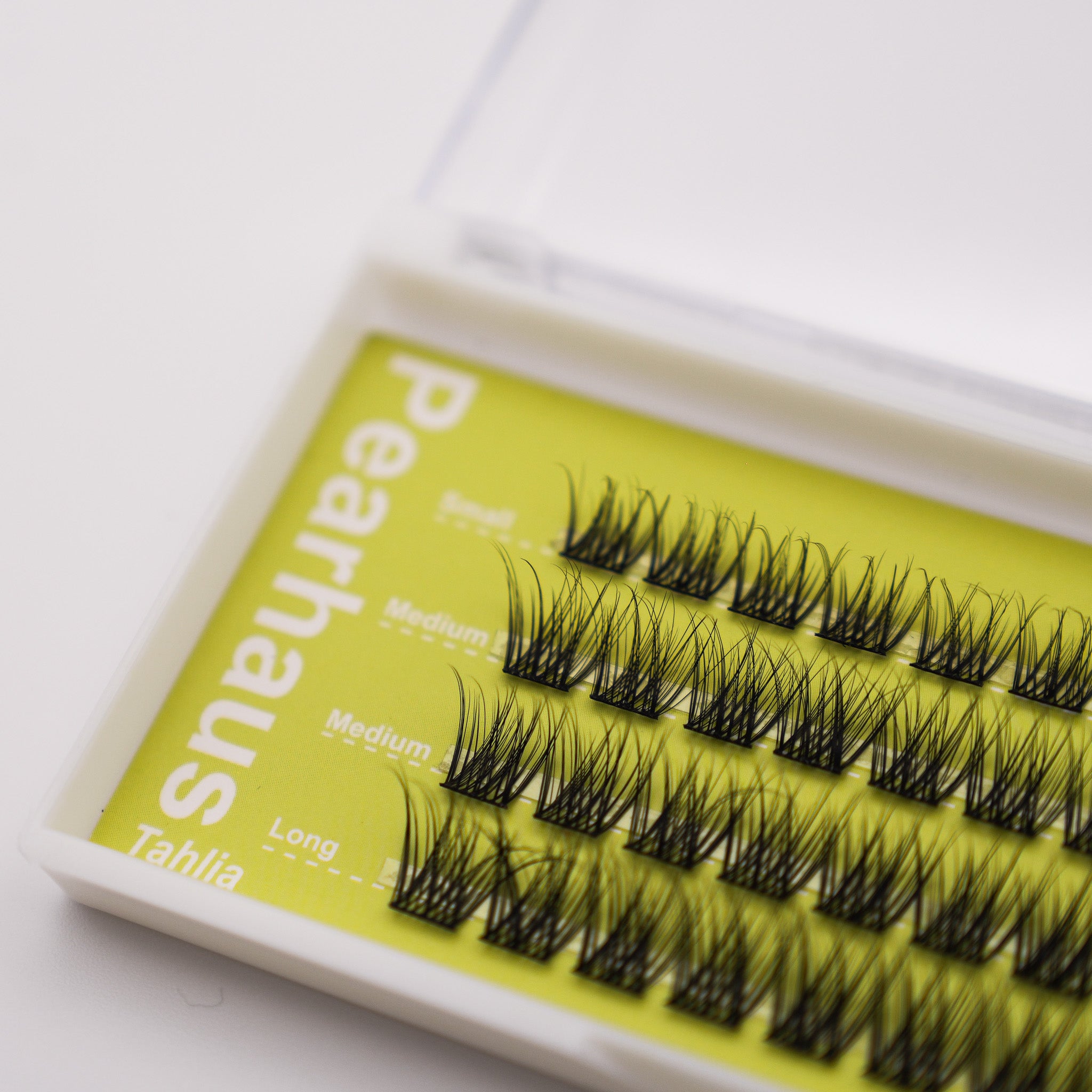 Tahlia Lashes [OG]